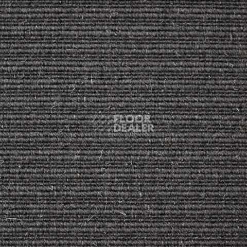 Ковролин Carpet Concept Eco Wool 596015 фото 1 | FLOORDEALER