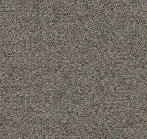 Ковролин Flotex wonderlab 07 900273 Sandstone фото 1 | FLOORDEALER