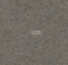 Ковролин Flotex wonderlab 07 900273 Sandstone фото 1 | FLOORDEALER