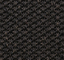 Ковролин Carpet Concept Eco Tre 681018 фото 1 | FLOORDEALER