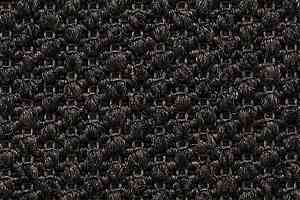 Ковролин Carpet Concept Eco Tre 681018 фото  | FLOORDEALER