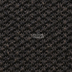 Ковролин Carpet Concept Eco Tre 681018 фото 1 | FLOORDEALER
