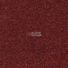 Ковролин AW Tresor 88 фото 1 | FLOORDEALER