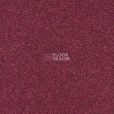 Ковролин Balta ITC Optima SDE new 16 фото 1 | FLOORDEALER