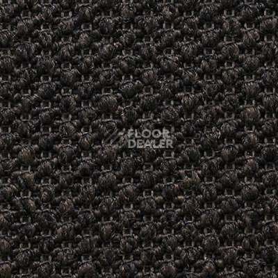 Ковролин Carpet Concept Eco Tre 681018 фото 1 | FLOORDEALER