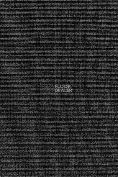 Циновки Aw Invictus Levinus Levinus 99 a фото 1 | FLOORDEALER