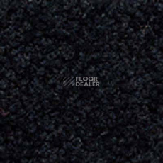 Ковролин Girloon Body1 591 фото 1 | FLOORDEALER