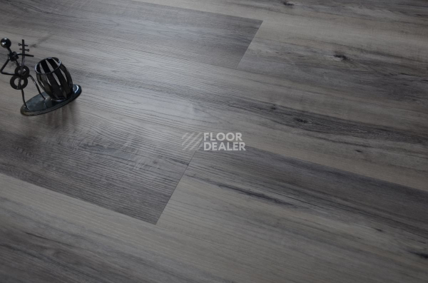 Evofloor Optima Click 4.2мм Дуб Индиго фото 6 | FLOORDEALER