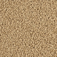 Ковролин Balsan Sublime 630 фото 1 | FLOORDEALER