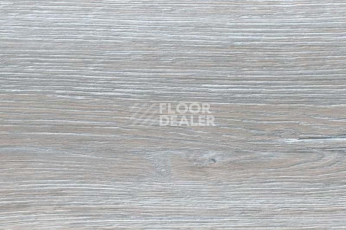 Пробковое покрытие Wood Xl замковое Oak Duna Grey фото 1 | FLOORDEALER