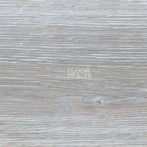 Пробковое покрытие Wood Xl замковое Oak Duna Grey фото 1 | FLOORDEALER