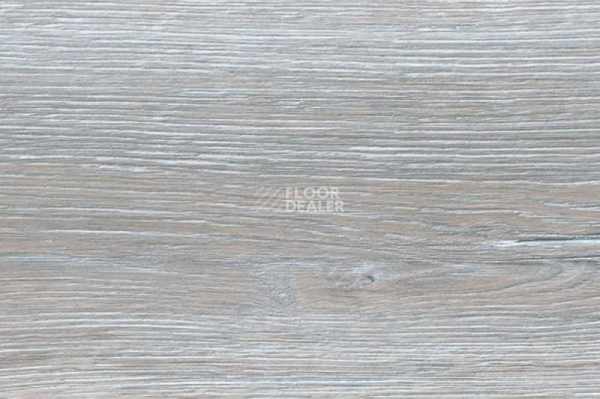 Пробковое покрытие Wood Xl замковое Oak Duna Grey фото 1 | FLOORDEALER