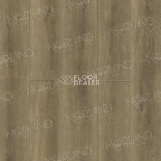 Norland Neowood 8мм Altaelva 2001-3 фото 4 | FLOORDEALER