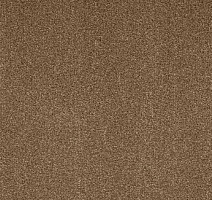 Ковролин AW Masquerade Moretta 40 фото 1 | FLOORDEALER