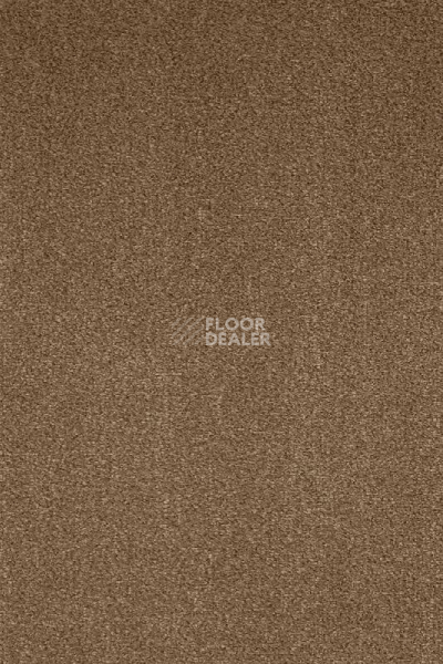 Ковролин AW Masquerade Moretta 40 фото 1 | FLOORDEALER