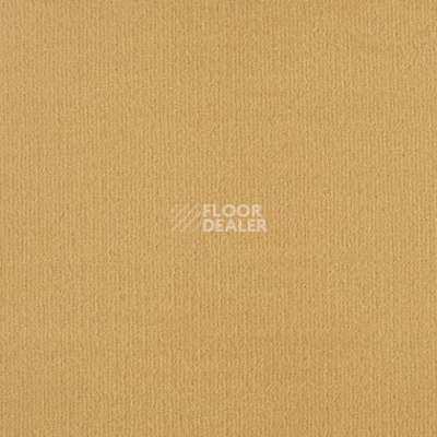 Ковролин Lano Mambo 362 фото 1 | FLOORDEALER