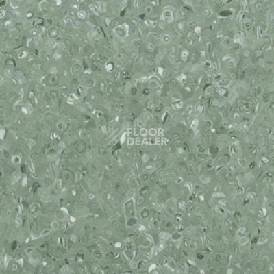 Линолеум Apoluza Tangyun 1009 фото 1 | FLOORDEALER