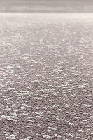 Innova Галактика Серо-фиолетовый фото 2 | FLOORDEALER