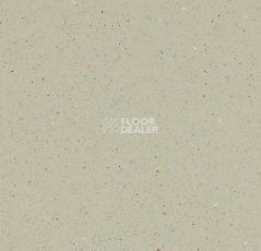 Линолеум Forbo SureStep Original 172472 white moss фото 1 | FLOORDEALER