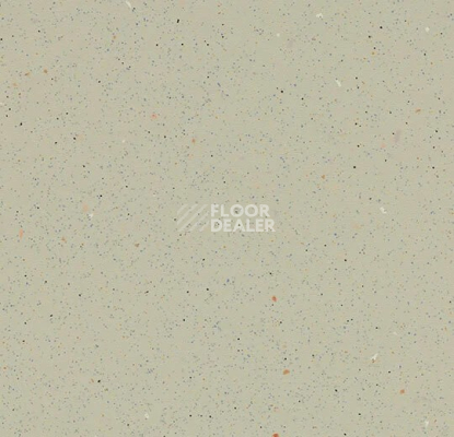 Линолеум Forbo SureStep Original 172472 white moss фото 1 | FLOORDEALER