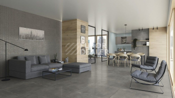 Evo Evo Smoke 60120 Rec 60x120 фото 2 | FLOORDEALER