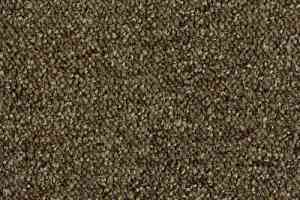 Ковролин Desso Pallas-Brlm 7913 фото  | FLOORDEALER