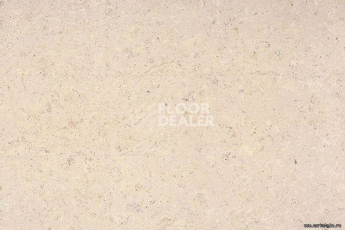 Eco Cork MADEIRA WHITE фото 2 | FLOORDEALER