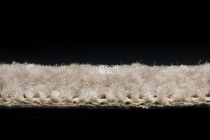 AW Masquerade Messalina 49 фото 5 | FLOORDEALER