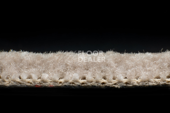 AW Masquerade Messalina / Мессалина 49 фото 5 | FLOORDEALER
