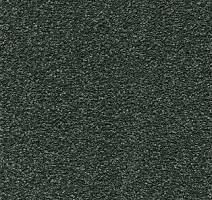 Ковролин AW Brilliant 24 фото 1 | FLOORDEALER