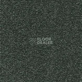 Ковролин AW Brilliant 24 фото 1 | FLOORDEALER
