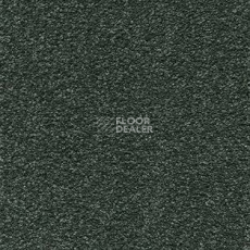 Ковролин AW Brilliant 24 фото 1 | FLOORDEALER