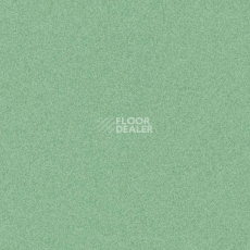 Линолеум Tarkett iq Melodia 2640 фото 1 | FLOORDEALER