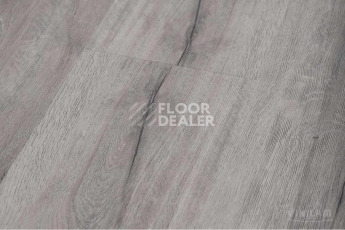 Ceramo Vinilam XXL Glue 2,5 мм Дуб Давос 8880-EIR Glue фото 7 | FLOORDEALER