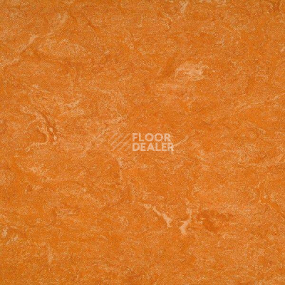 Линолеум Marmorette PUR 125-073 фото 1 | FLOORDEALER