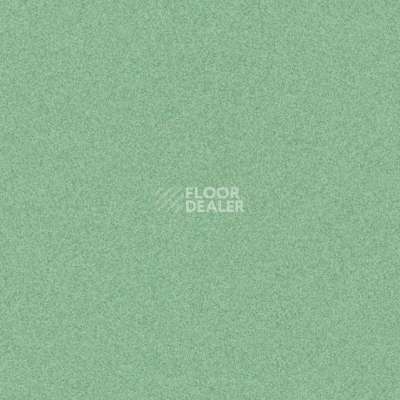 Линолеум Tarkett iq Melodia 2640 фото 1 | FLOORDEALER