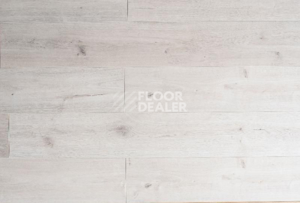 Ламинат My Step Mega 8 MS 318 Дуб Токио фото 1 | FLOORDEALER