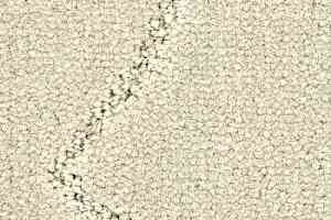 Ковролин Balsan Prestige 605 фото  | FLOORDEALER