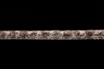 Betap Plato_new Plato 930 фото 4 | FLOORDEALER