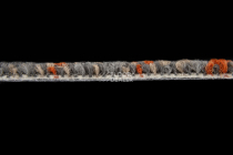 Contours 2008-12 + Rust фото 4 | FLOORDEALER