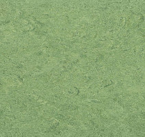 Линолеум Marmorette DLW 2.5mm 0100 Frog Green фото 1 | FLOORDEALER