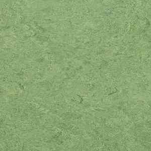 Линолеум Marmorette DLW  LCH 2.5mm 0100 Frog Green фото ##numphoto## | FLOORDEALER