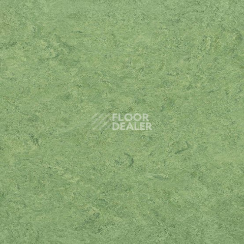 Линолеум Gerflor Marmorette DLW 2.5mm 0100 Frog Green фото 1 | FLOORDEALER