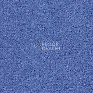 Ковролин Radici Montecarlo 26 фото 1 | FLOORDEALER