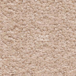 Ковролин AW Invictus Orion 38 фото 1 | FLOORDEALER