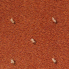 Ковролин Condor Carpets Africa 218 фото 1 | FLOORDEALER