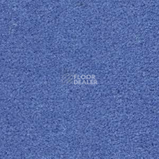 Ковролин Radici Montecarlo 26 фото 1 | FLOORDEALER