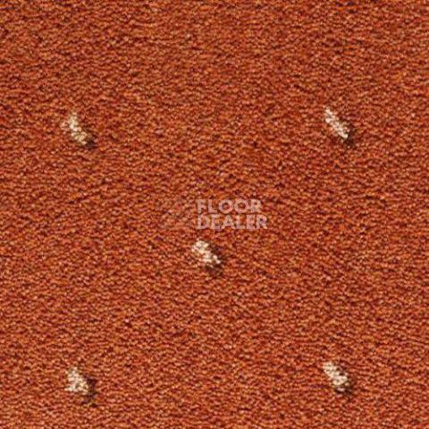 Ковролин Condor Carpets Africa 218 фото 1 | FLOORDEALER