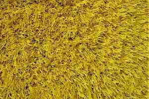 Искусственная трава Деко Цветная 20мм Жёлтый фото  | FLOORDEALER