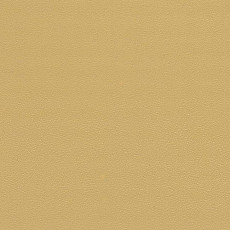 Линолеум GraboSport Elite 60 2089_00_275 фото 1 | FLOORDEALER